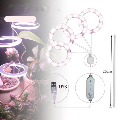 Phyto Lamp