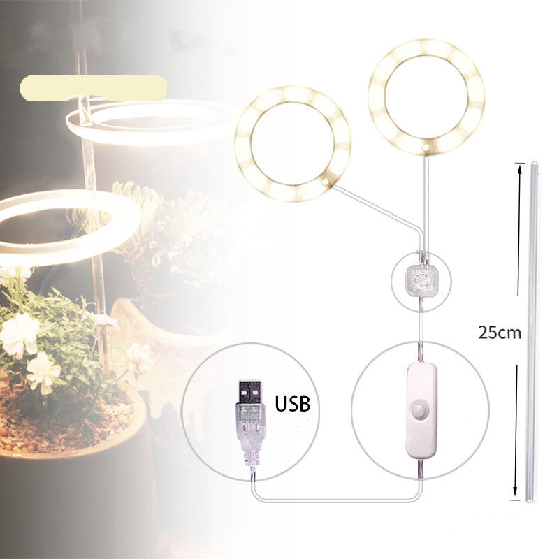 Phyto Lamp