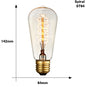 Edison Light Bulb