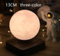 Moon 3D