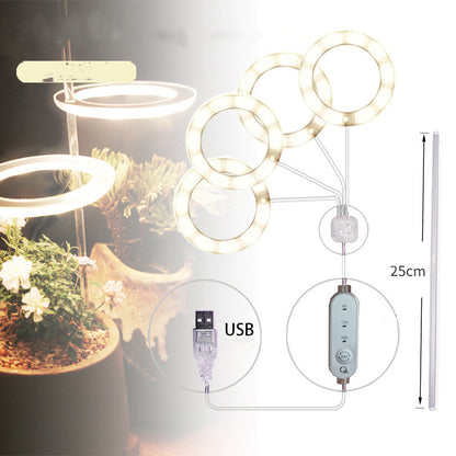 Phyto Lamp