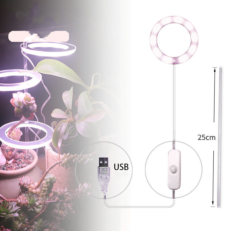 Phyto Lamp