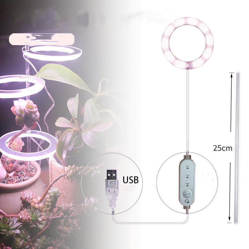 Phyto Lamp