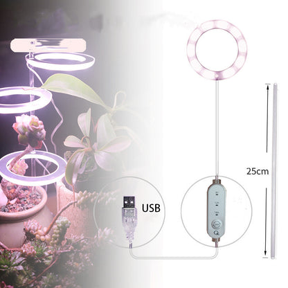 Phyto Lamp